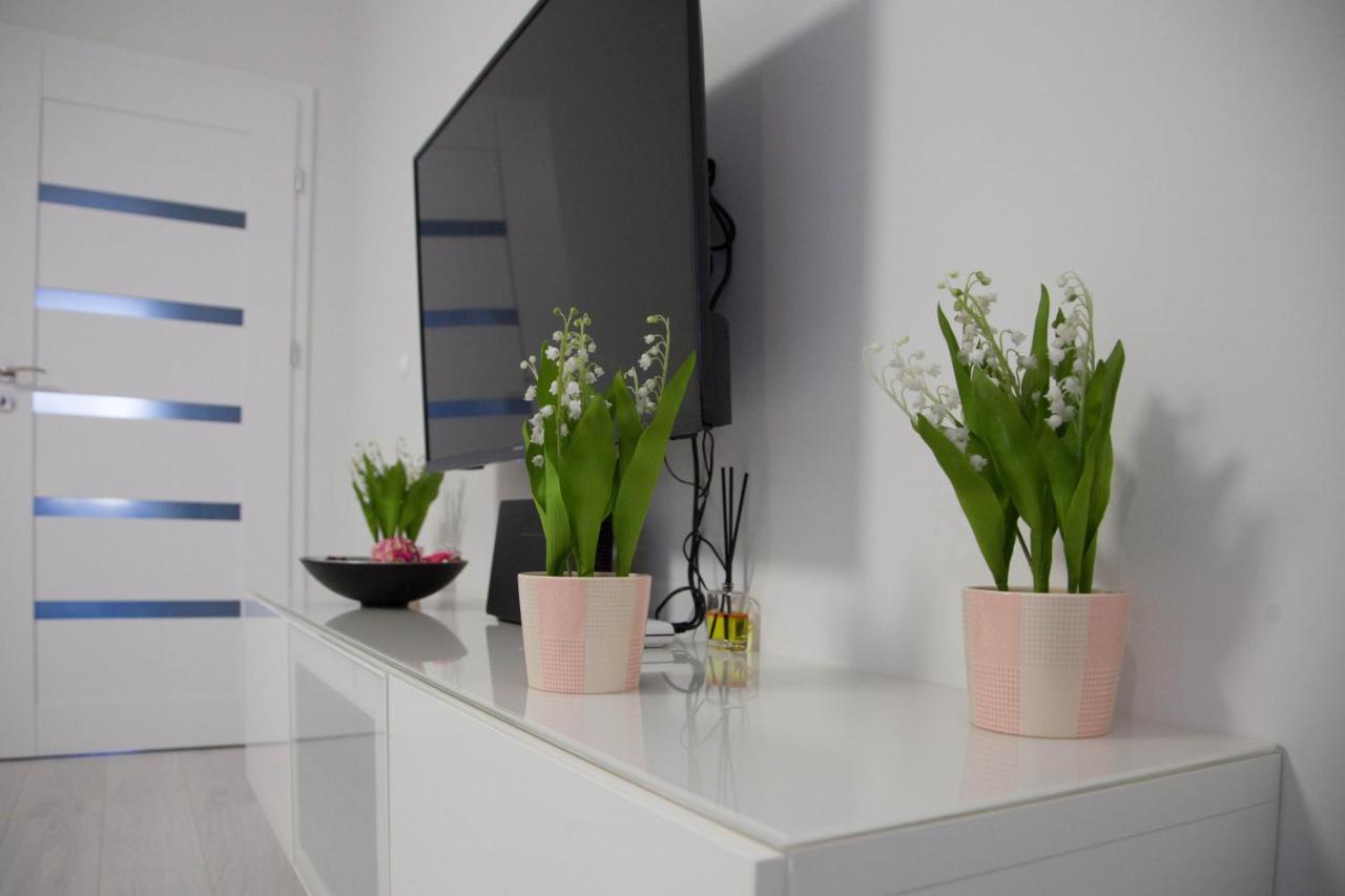 Apartament Wroclaw Borowska Екстер'єр фото